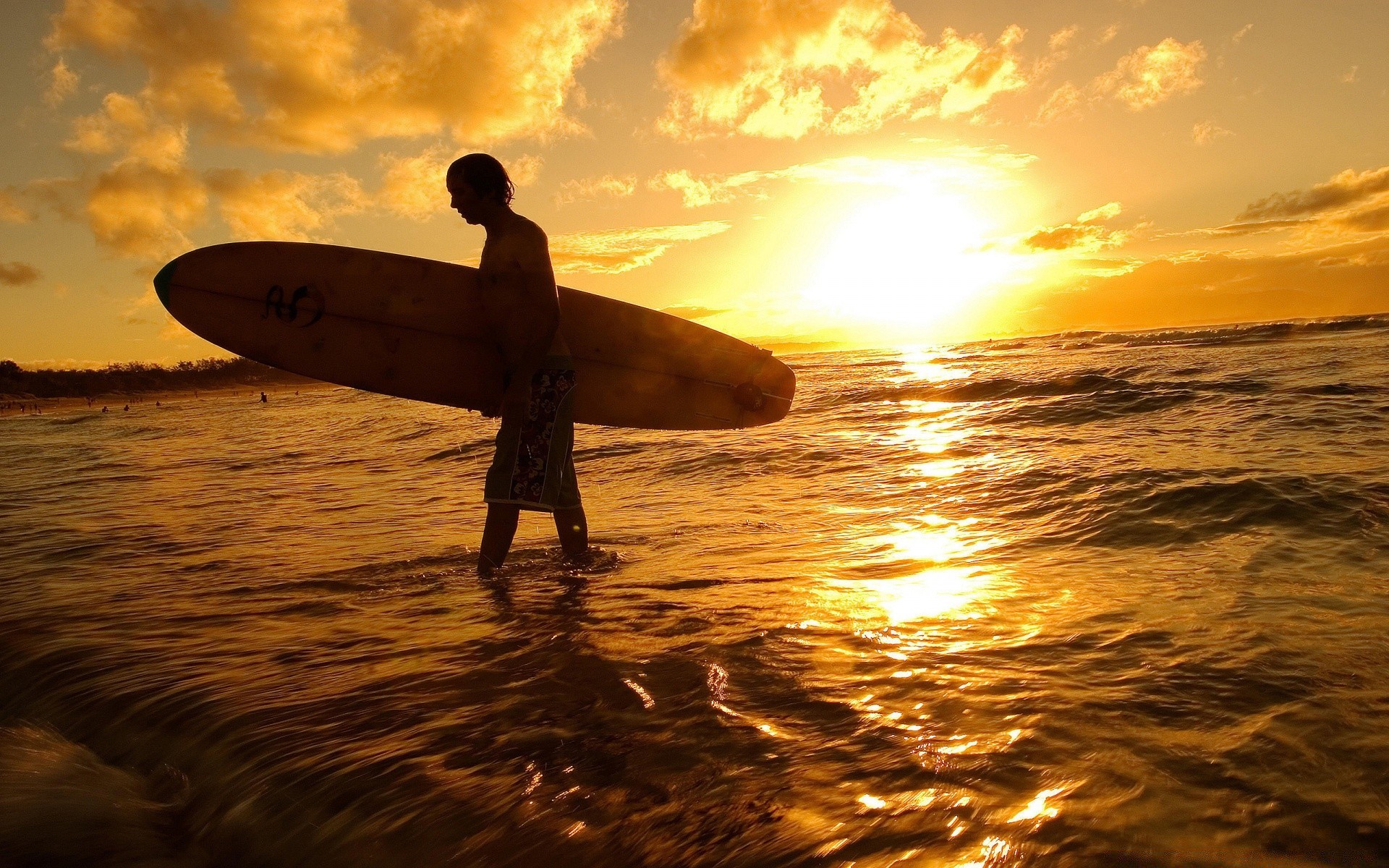 surfing sunset water beach ocean sea dawn sun backlit surf evening dusk seashore silhouette