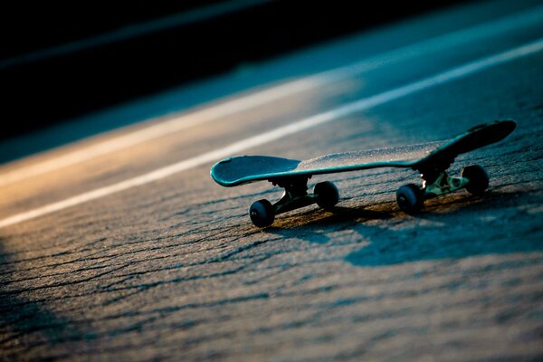 Photo of a skate by the water on the beach