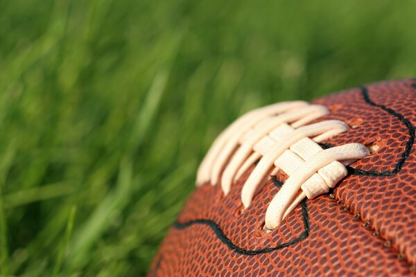 Deportes al aire libre en verano