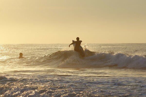 Surfeur sur les vagues au coucher du soleil du soir