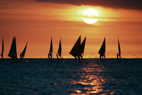 Surfen mit Segeln im Meer bei Sonnenuntergang