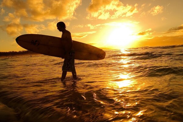 A surfer with a board comes out of the ocean against the background of the setting sun