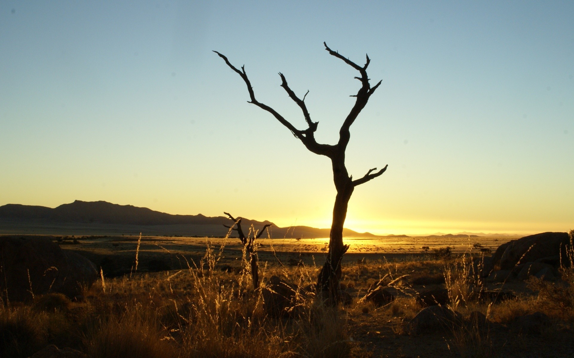 africa landscape sunset sky tree outdoors dawn evening travel nature dusk