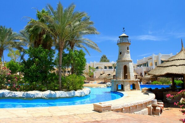 A vivid photo of the resort palm trees and buildings