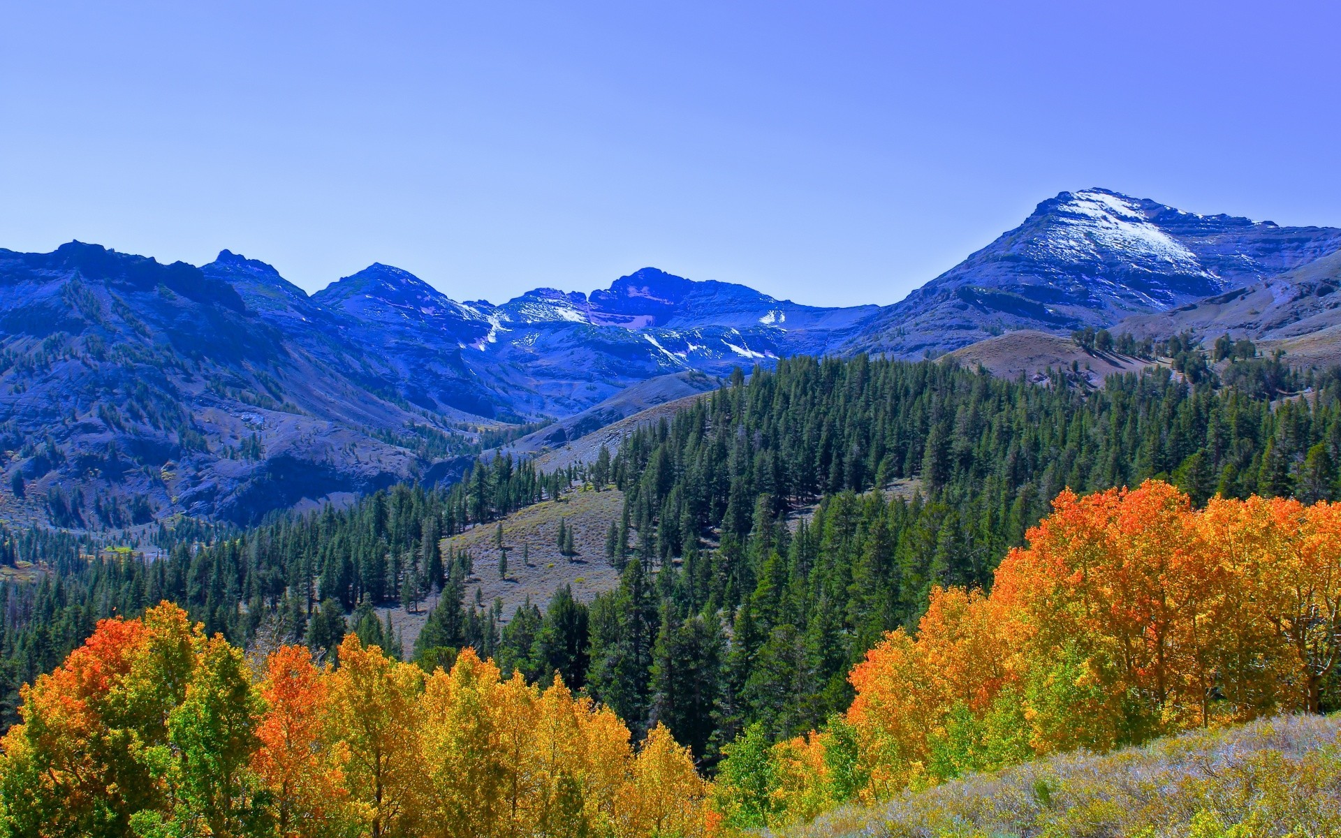 america fall wood outdoors mountain scenic landscape snow nature tree wild leaf daylight travel sky