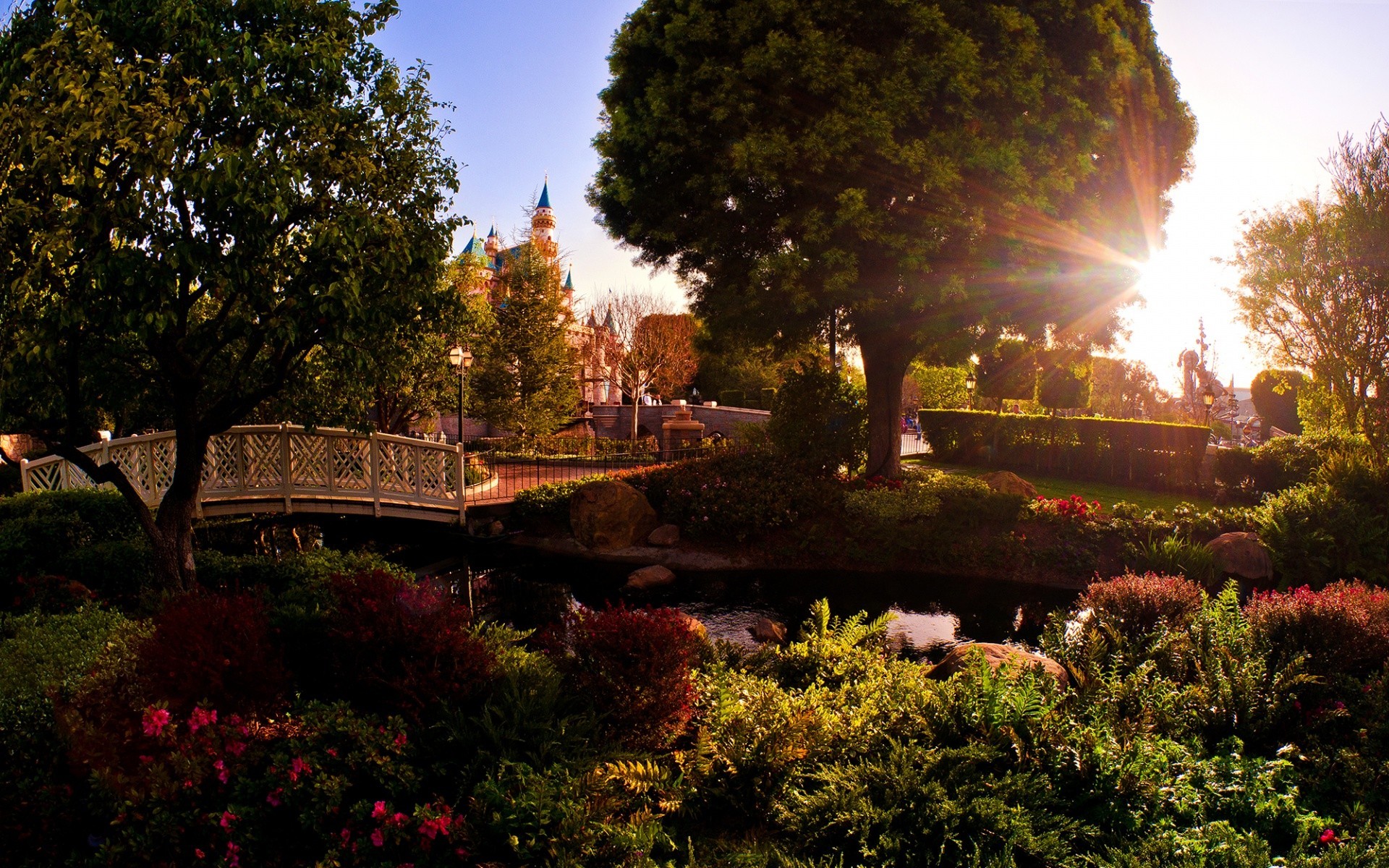 america tree garden park outdoors travel flower landscape nature water grass leaf