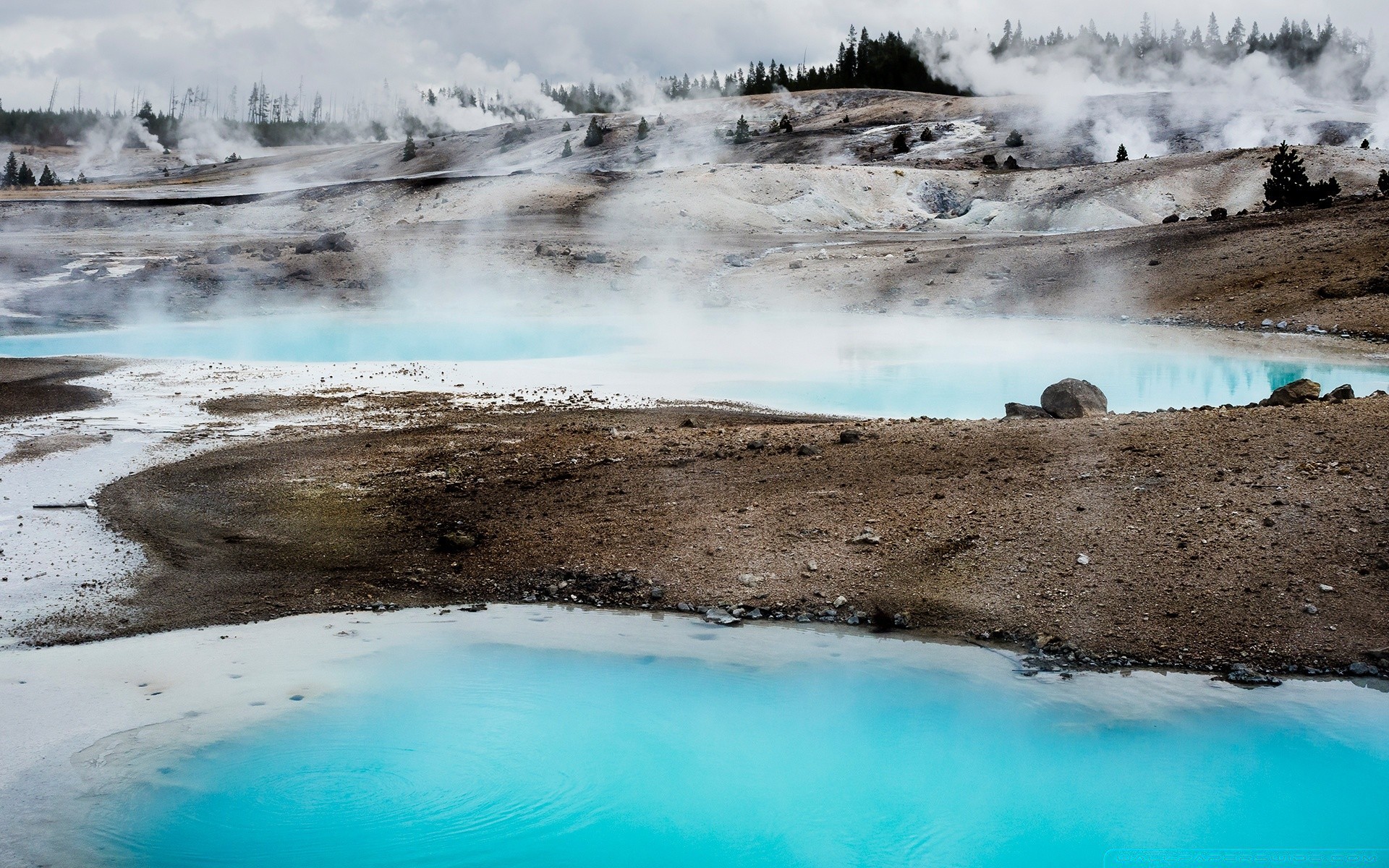 amérique vapeur geyser thermique printemps chaud géothermique volcan eau éruption écume voyage chaud piscine soufre paysage volcanique géologie nature bactéries à l extérieur