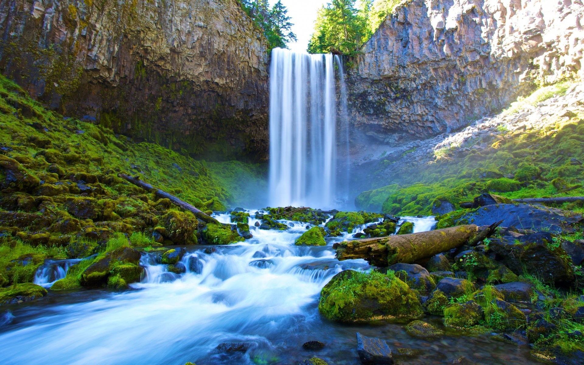 amerika wasserfall wasser fluss strom natur rock kaskade herbst holz moos blatt landschaft im freien reisen schrei spritzen berge nass holz