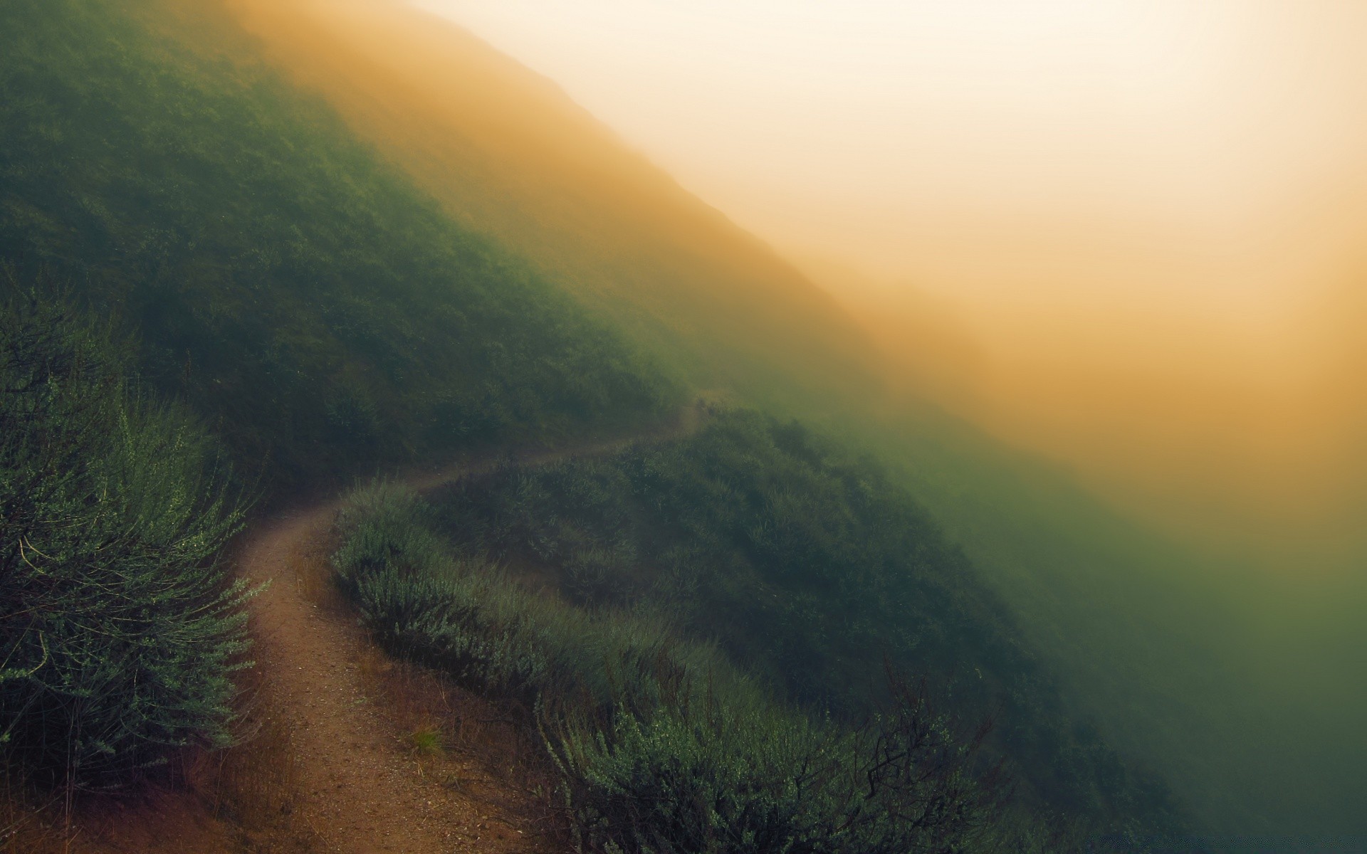 america landscape fog sunset water nature mist dawn tree travel outdoors mountain sky daylight beach light evening sea