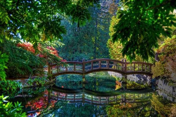 A stunning bridge with a soothing landscape