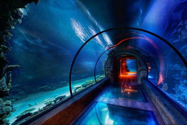 Underwater tunnel at the bottom of the ocean