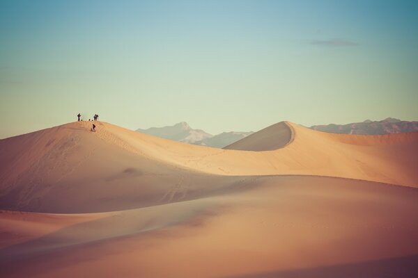 Desert dunes against the background of dawn