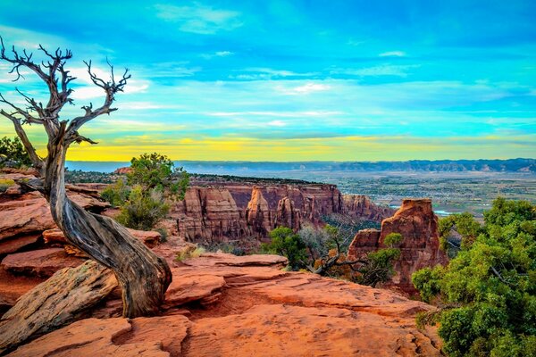 Hermosa vista desde el acantilado a la naturaleza