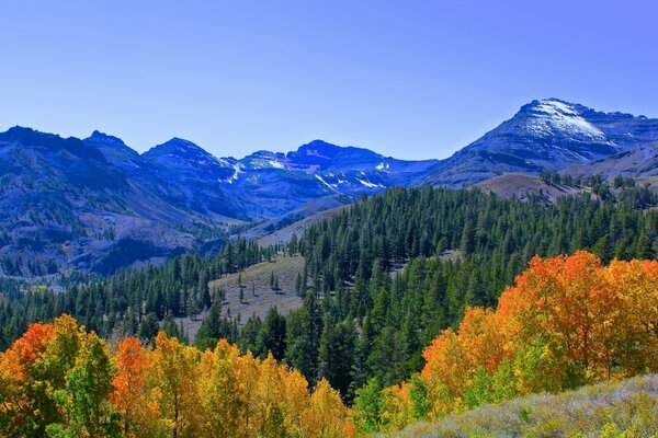 المناظر الطبيعية الجبلية للخريف الذهبي لأمريكا