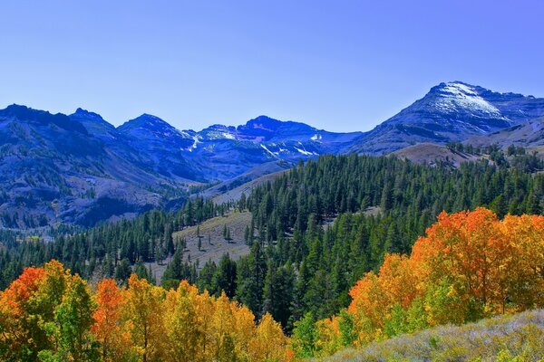 Paisaje montañoso del otoño dorado de América