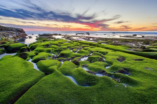 Naturaleza al atardecer. Cielo ardiente