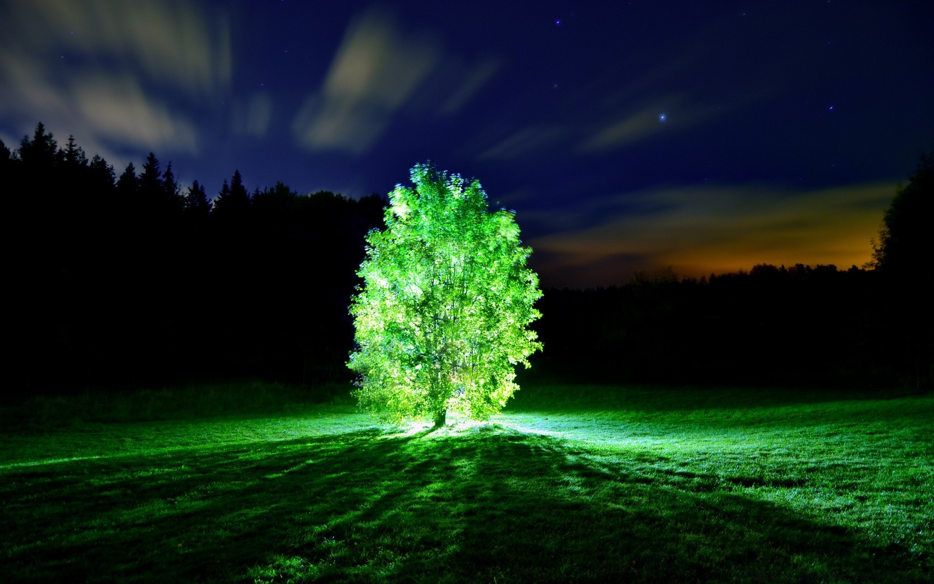 paesaggio natura cielo erba albero sole alba paesaggio all aperto luce foglia bel tempo tramonto scuro