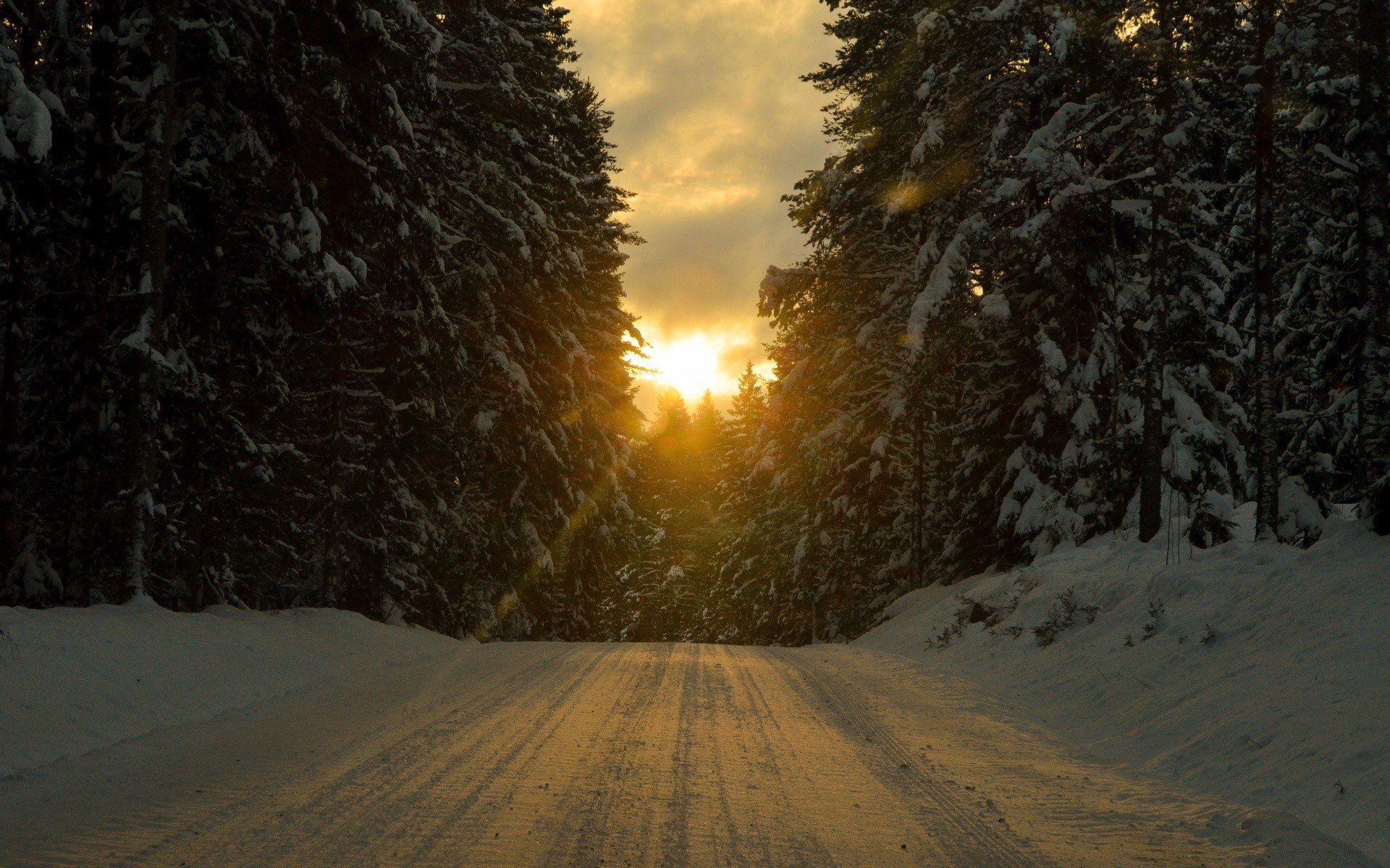 paisaje invierno nieve madera árbol paisaje frío escarcha amanecer al aire libre naturaleza hielo noche luz puesta de sol buen tiempo carretera tiempo congelado