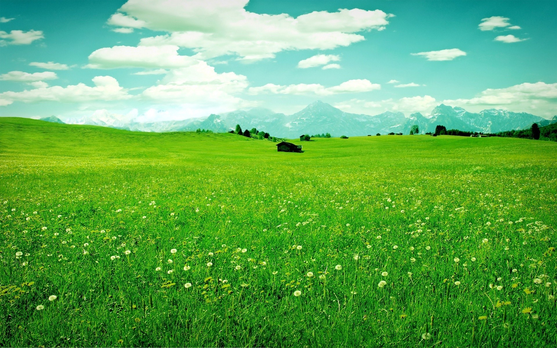 paisaje heno hierba campo rural césped paisaje pasto pasto granja naturaleza verano flora campo agricultura país escena horizonte suelo temporada