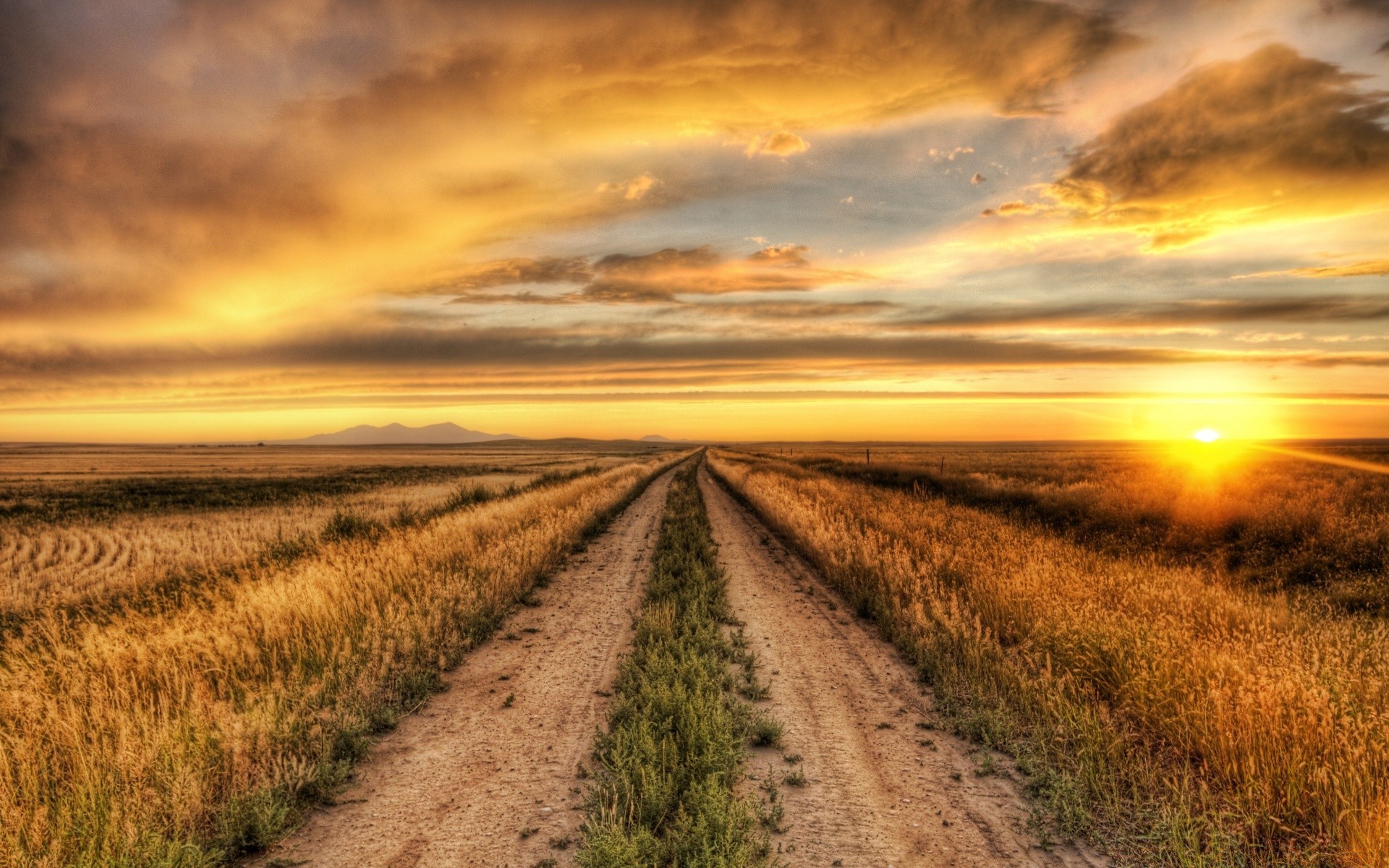 paysage coucher de soleil ciel soleil paysage aube nature rural champ campagne nuage beau temps agriculture