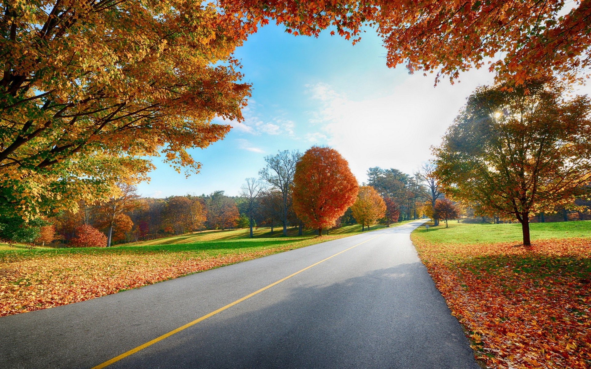 风景 秋天 路 叶 树 指南 农村 户外 景观 自然 农村 季节 公园