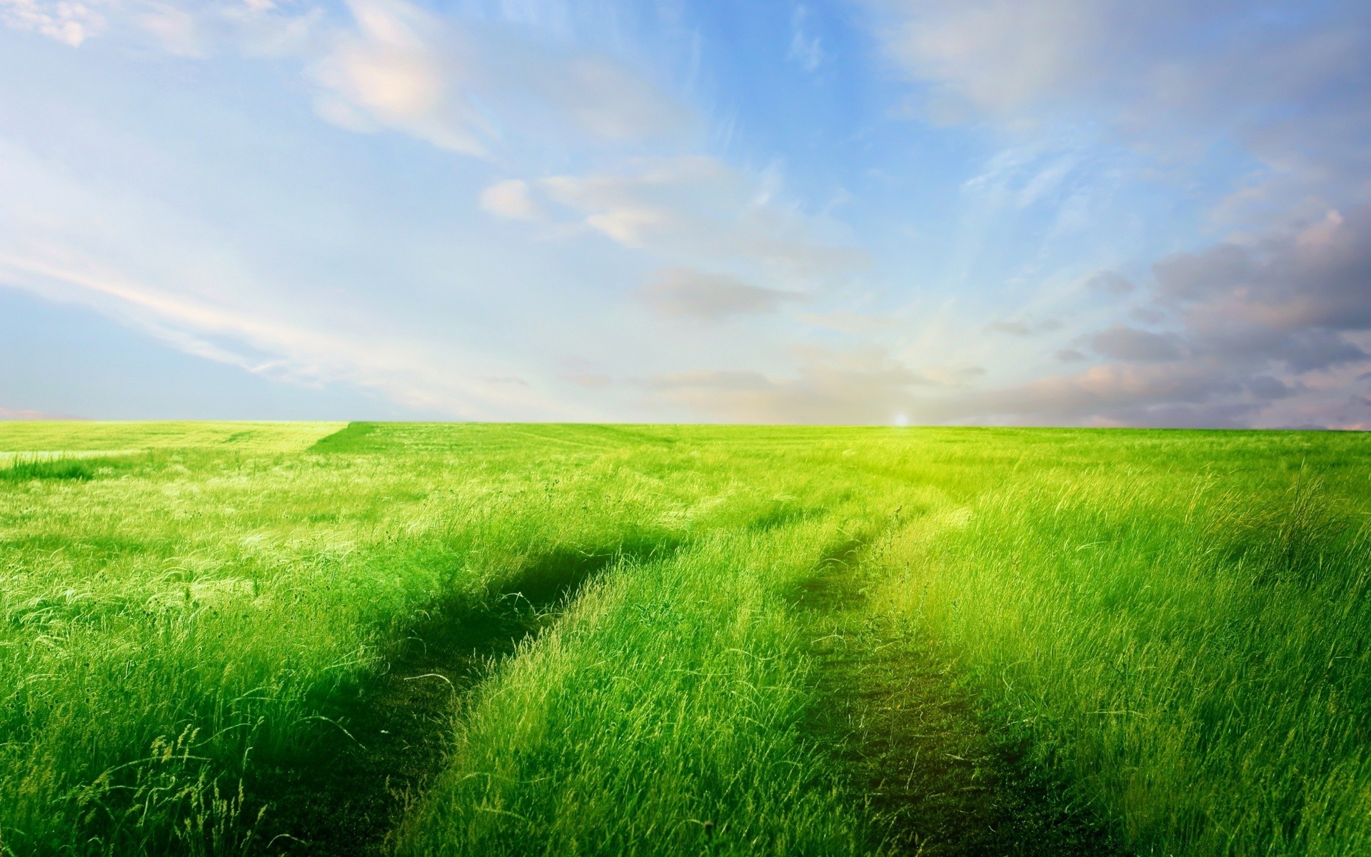 paysage herbe champ foin rural sol pâturage paysage pelouse soleil campagne horizon nature été ferme pâturage beau temps ciel croissance nuage