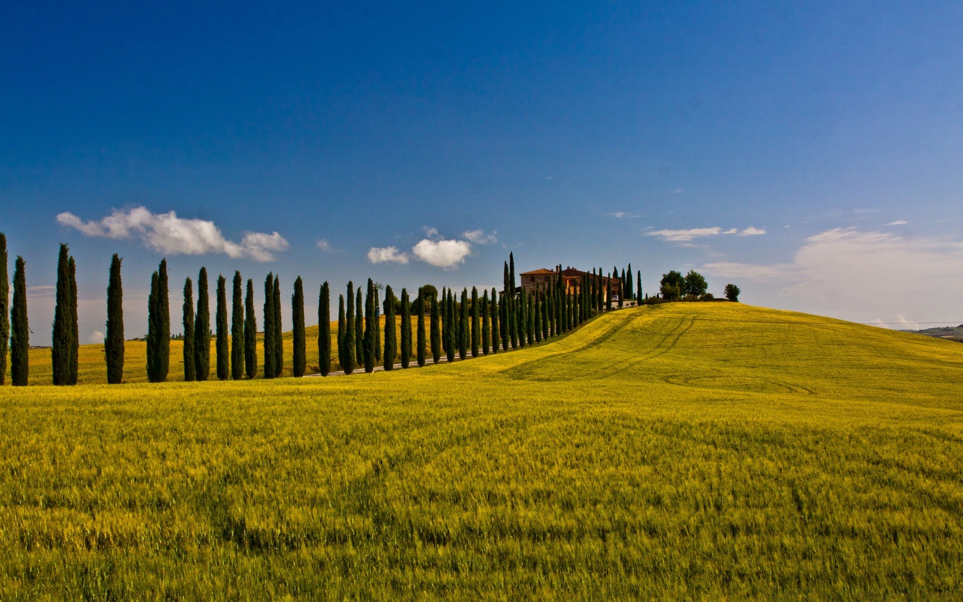 landscapes landscape agriculture sky field outdoors countryside nature farm tree cropland rural grass daylight hayfield growth country