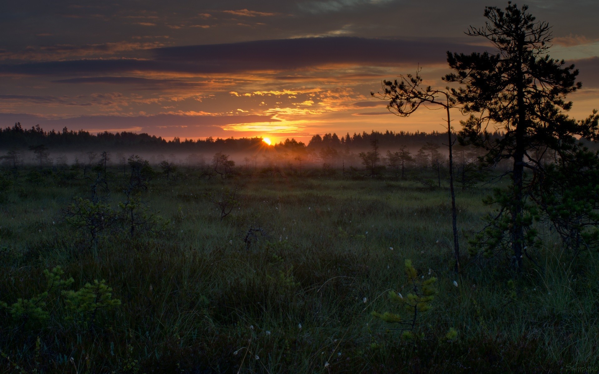 landscapes landscape sunset dawn tree nature evening sky sun dusk fog outdoors fair weather light