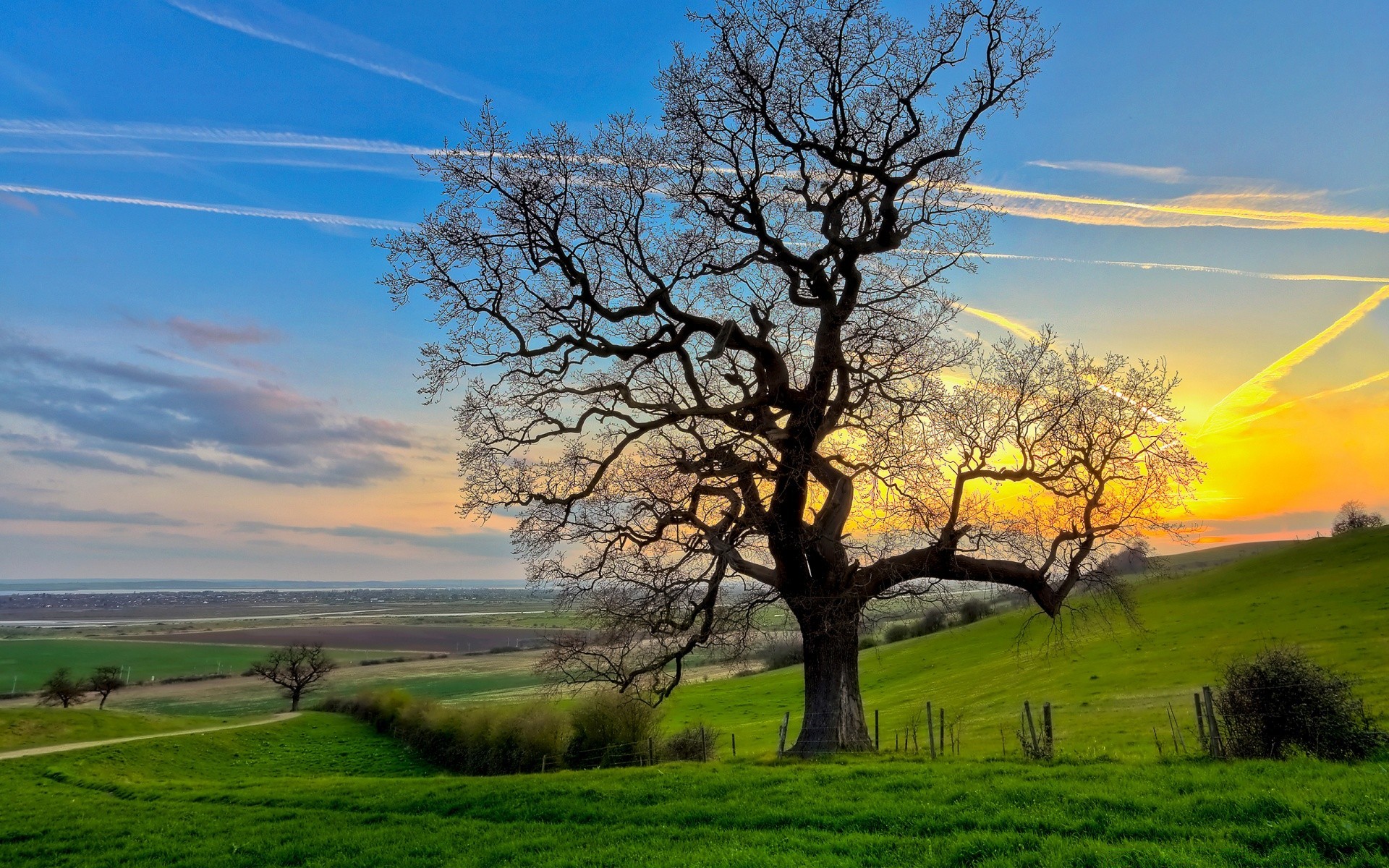 paysage paysage arbre herbe nature rural foin campagne ciel champ scénique à l extérieur paysages été spectacle agriculture beau temps saison horizon idylle