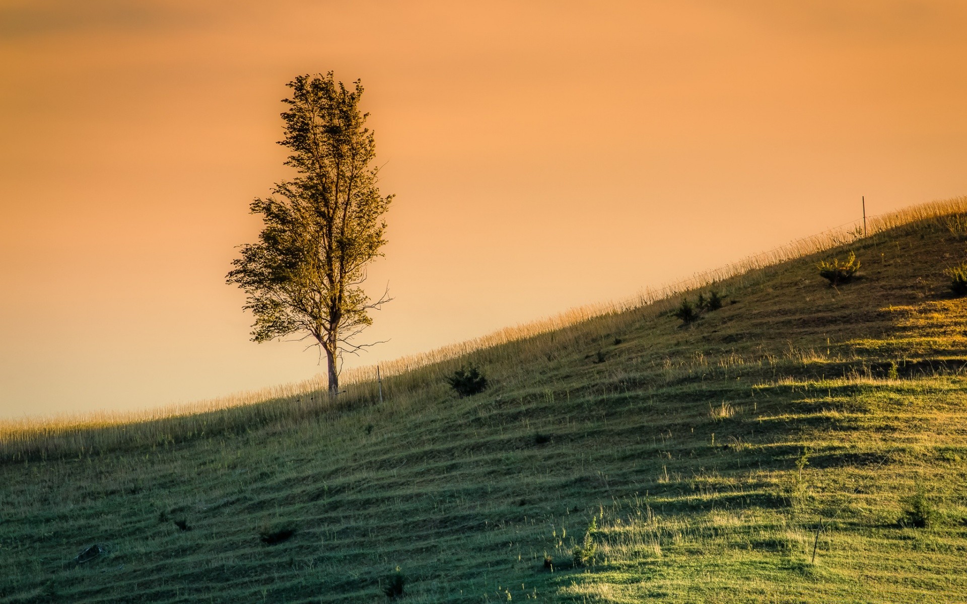 krajobrazy krajobraz zachód słońca świt na zewnątrz drzewo natura rolnictwo niebo ziemia uprawna wieczorem słońce pole światło jesień podróż mgła dobra pogoda trawa wieś