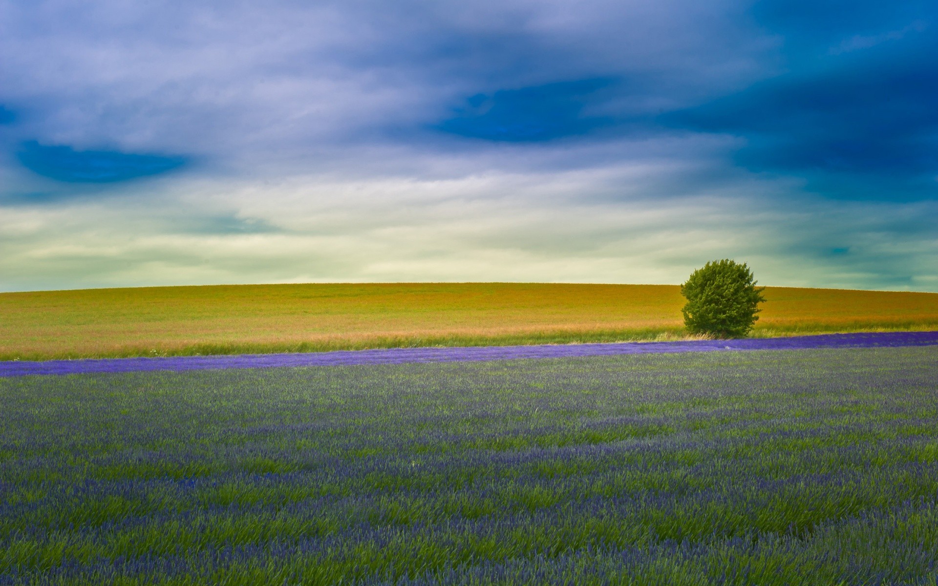 paysage ciel paysage à l extérieur la nature l agriculture l été rural herbe campagne pâturage champ ferme soleil beau temps