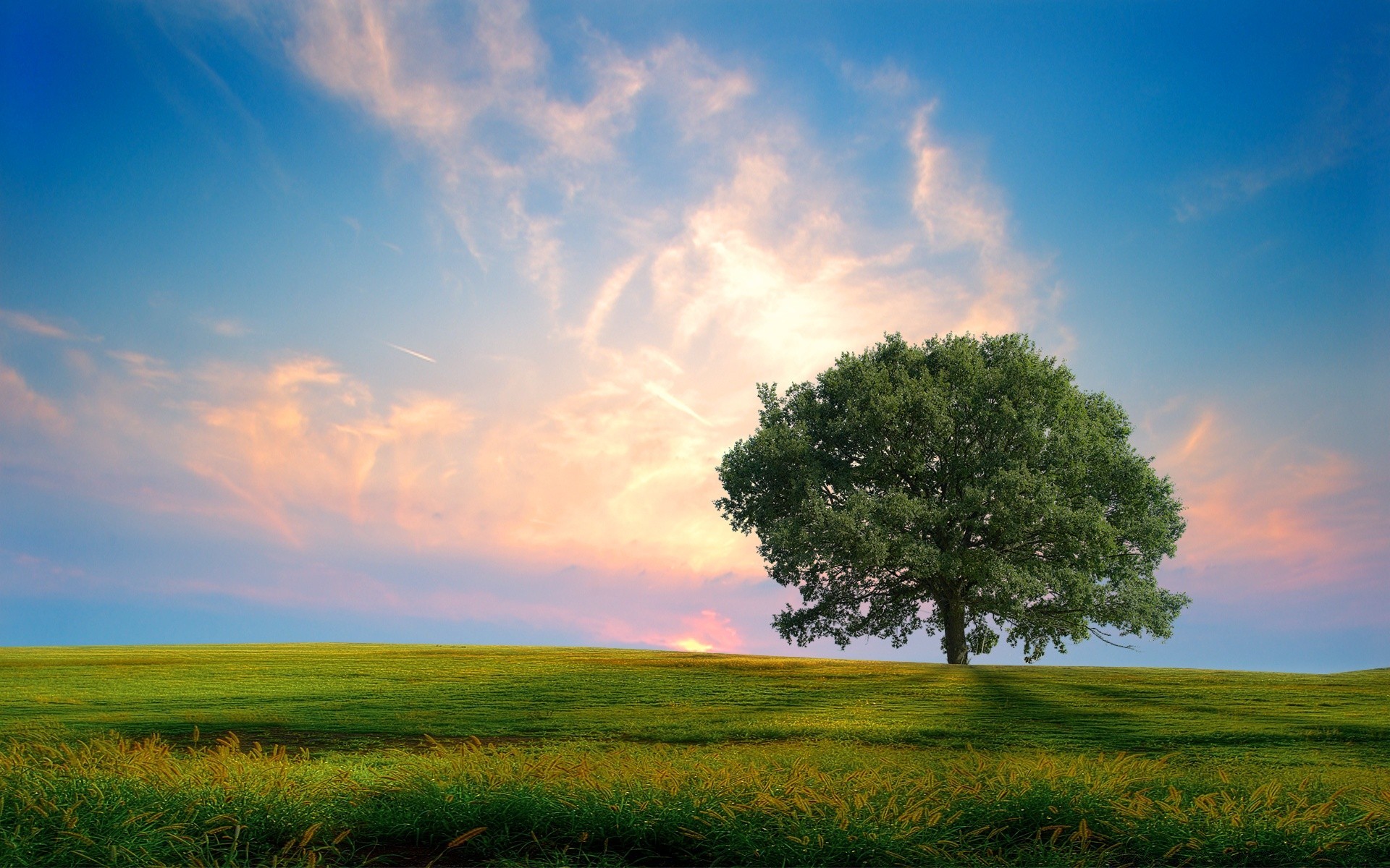 landschaft landschaft ländlichen natur gras sonne feld himmel landschaft horizont heuhaufen gutes wetter sommer sonnenuntergang weide wolke bauernhof dämmerung weide wetter