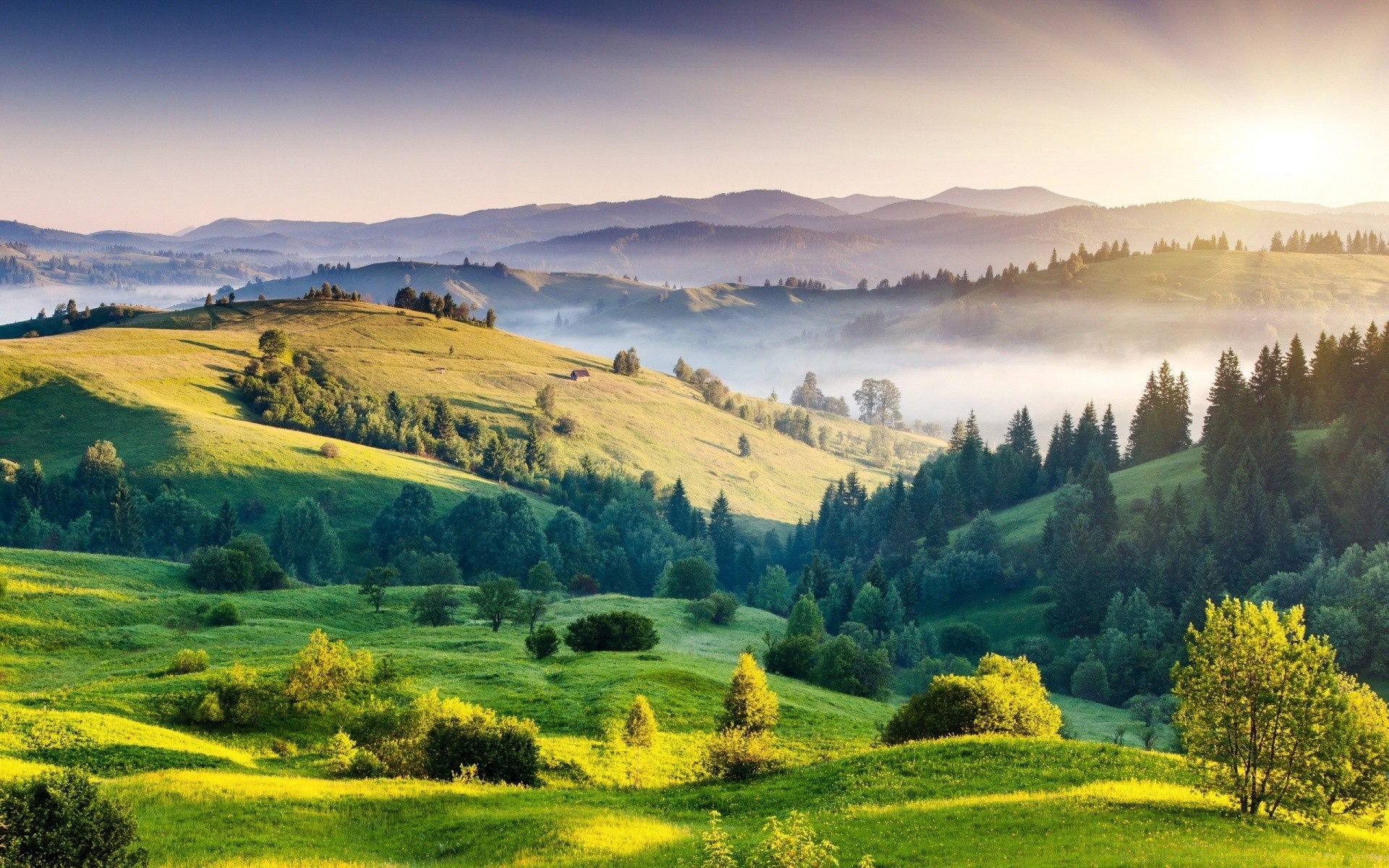 landscapes landscape nature scenic hill tree rural countryside sky hayfield sight outdoors mountain summer grass field scenery country agriculture travel