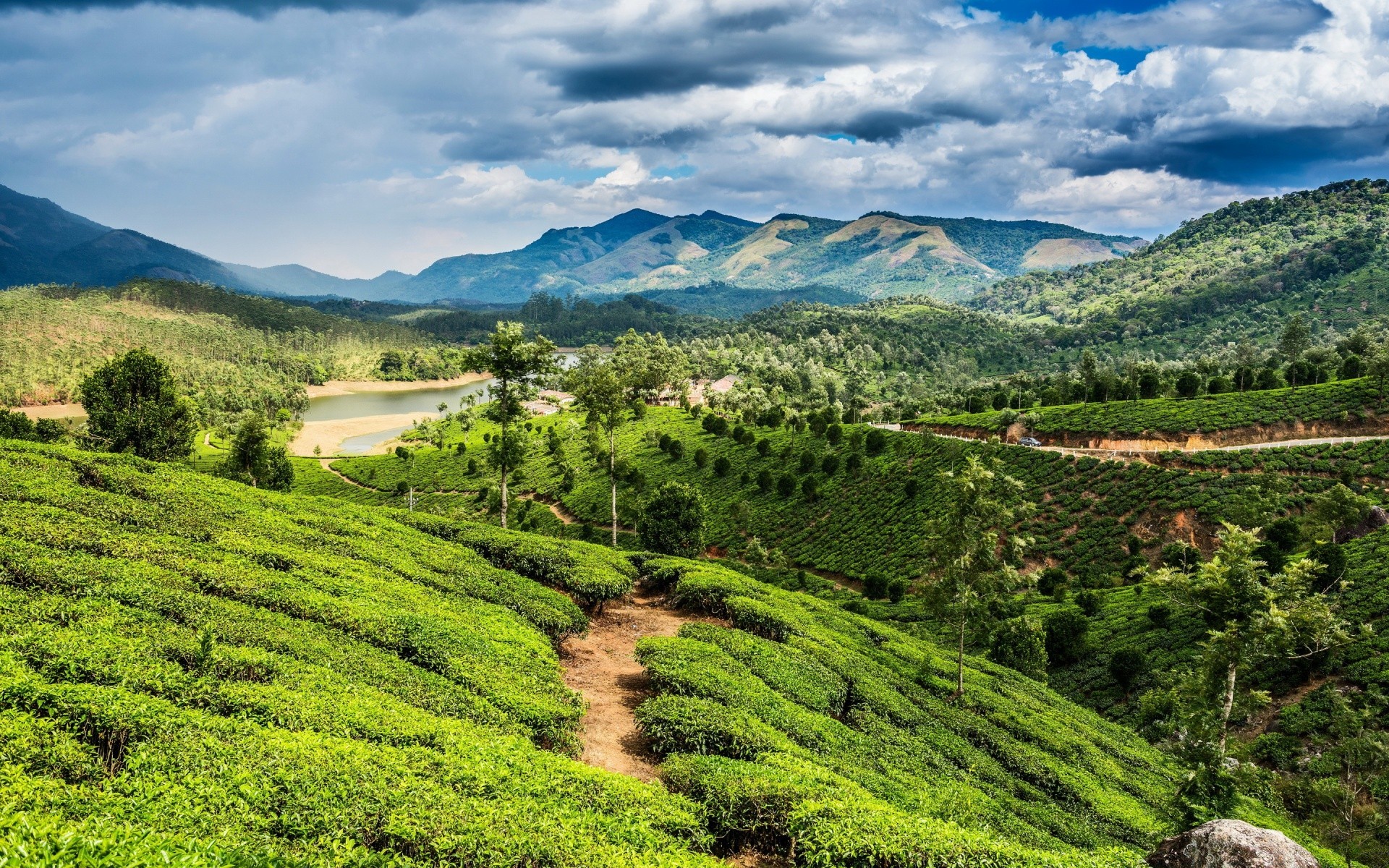 landscapes landscape hill nature agriculture mountain travel valley rural field tree scenic sky countryside outdoors summer farm cropland wood sight