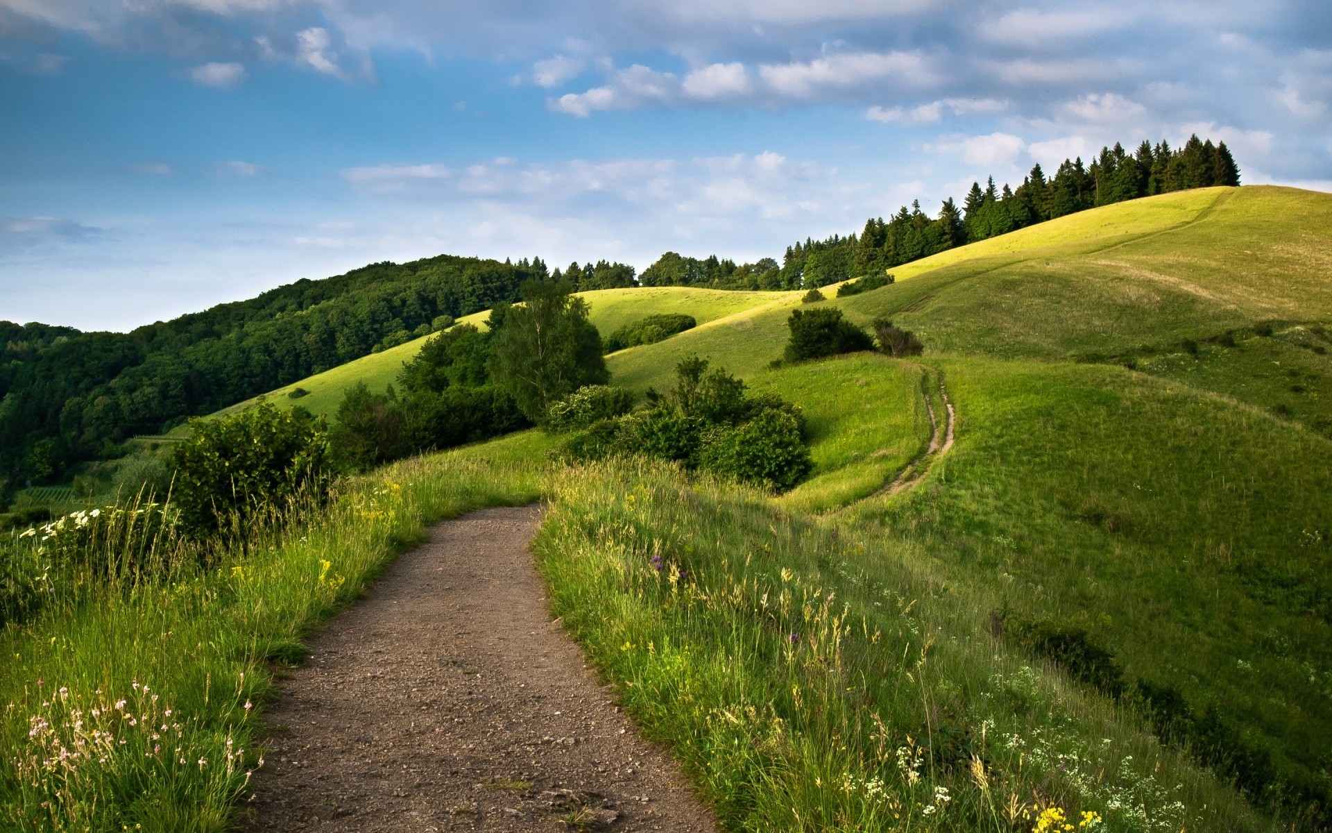 landscapes landscape grass countryside hill nature hayfield road outdoors tree scenic sky field rural summer agriculture travel country grassland