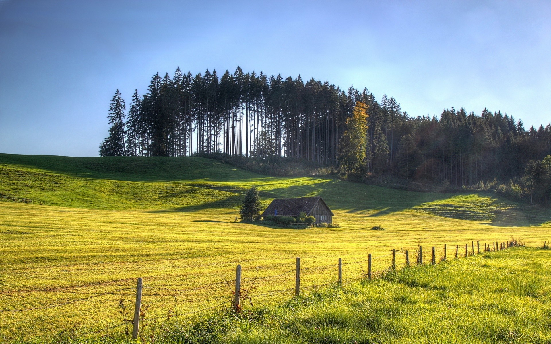 paysage paysage arbre herbe nature foin bois agriculture scénique champ extérieur ciel colline pays campagne environnement ferme rural