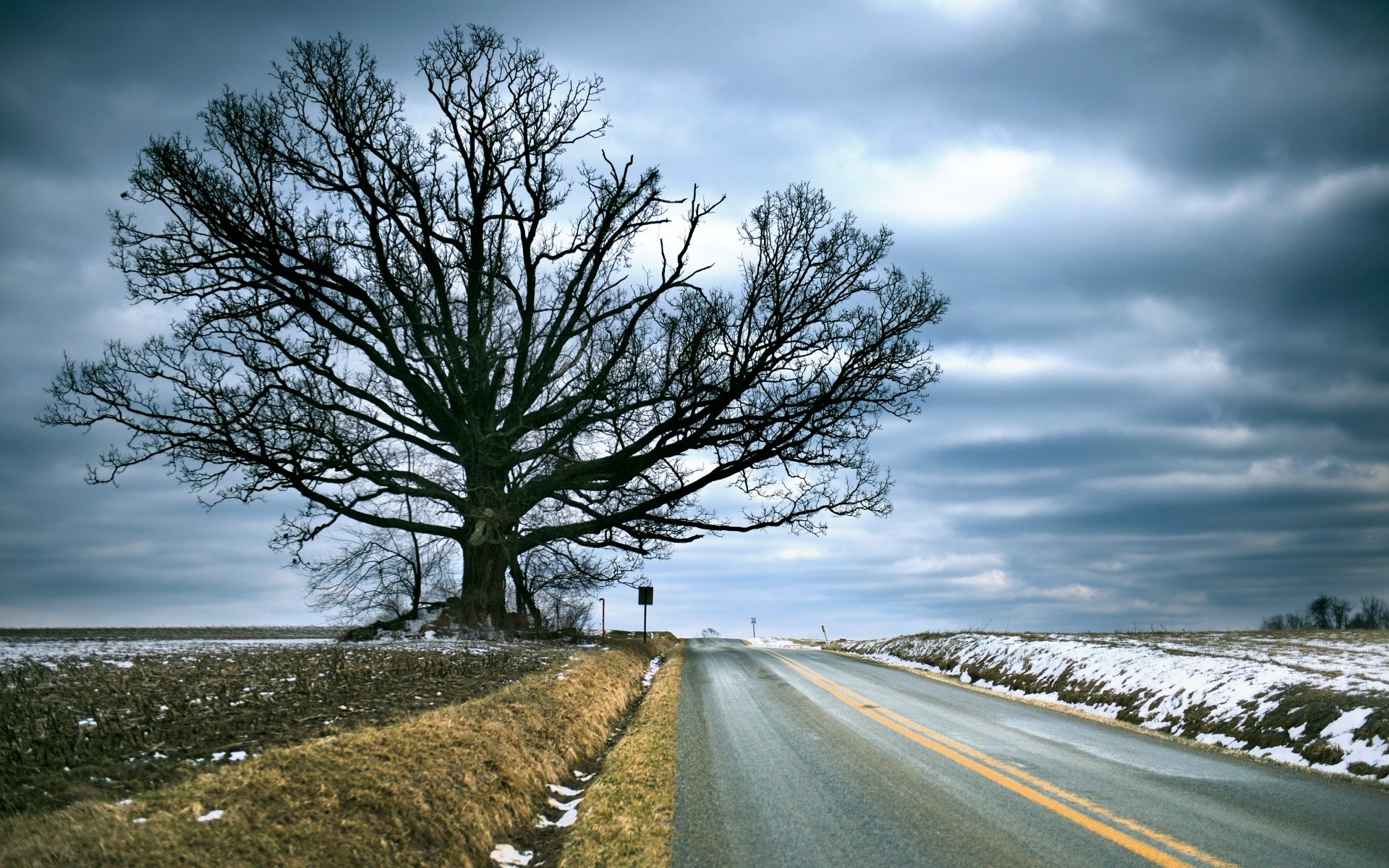 landscapes landscape tree nature road sky outdoors countryside rural travel scenic wood guidance