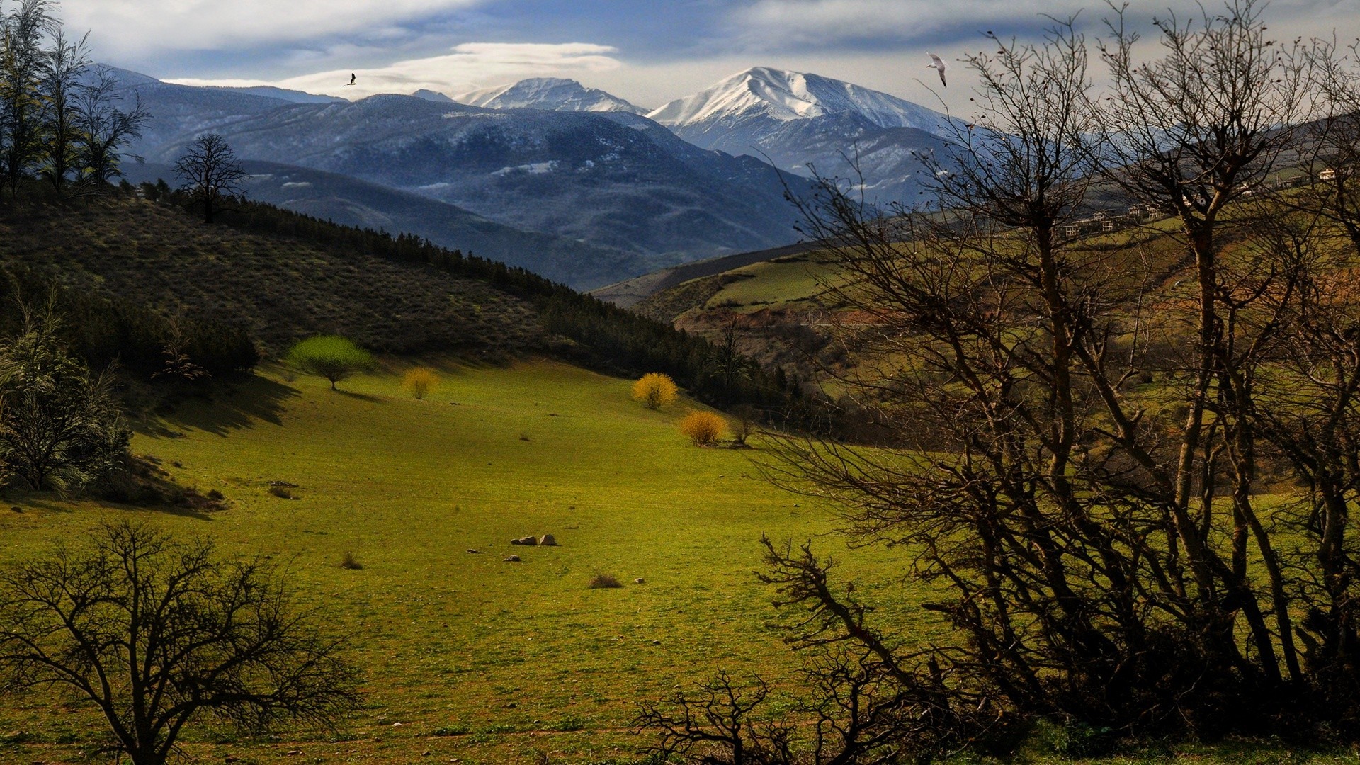 paysage paysage nature arbre à l extérieur montagnes ciel voyage bois aube automne scénique herbe coucher de soleil