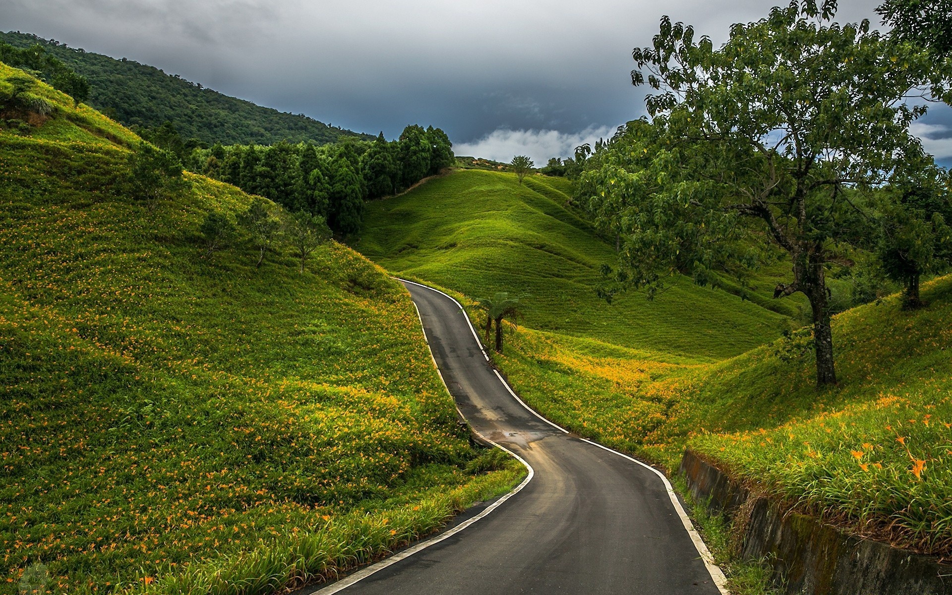 landscapes road landscape nature travel grass countryside rural outdoors tree guidance mountain sky hill scenic summer wood