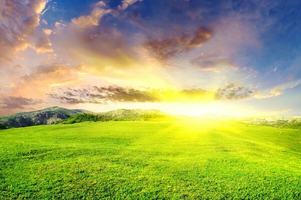 Paisaje de hierba bajo el sol en la naturaleza