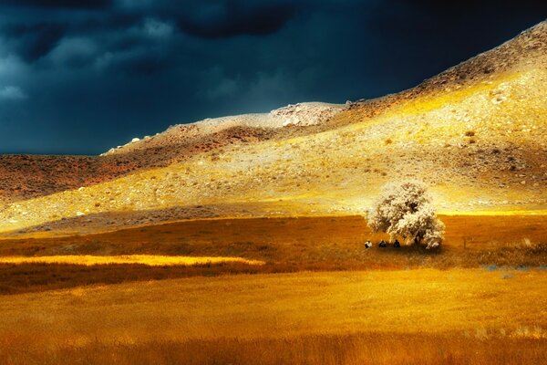 Paisagem Árvore de pé solitário