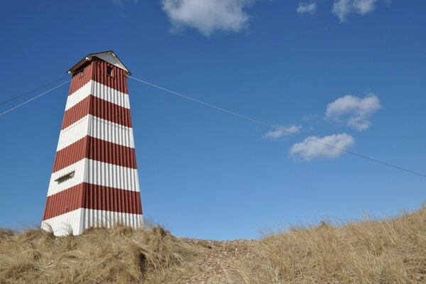 Clear sky. Landscape. Agricultural industry