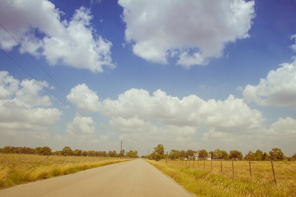 Route rurale le long du champ