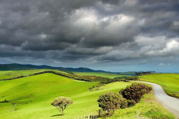 Winding road with green fields