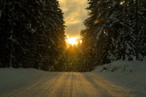 Winterstraße im verschneiten Wald