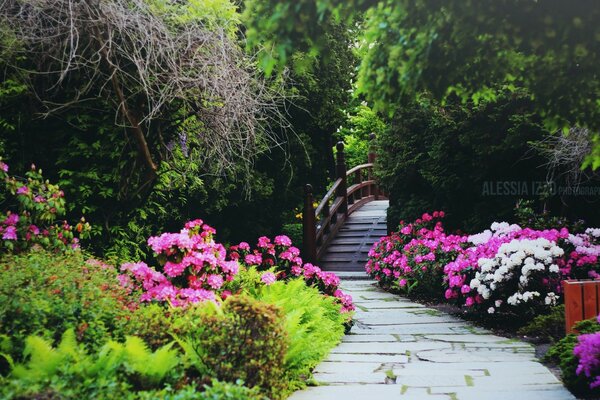 Camino con puente en un hermoso Jardín de verano