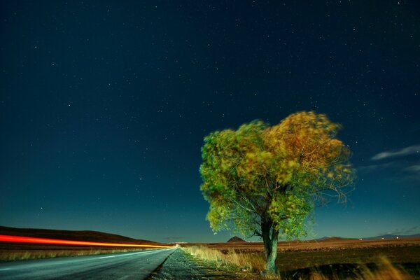 The night sky twinkles with stars