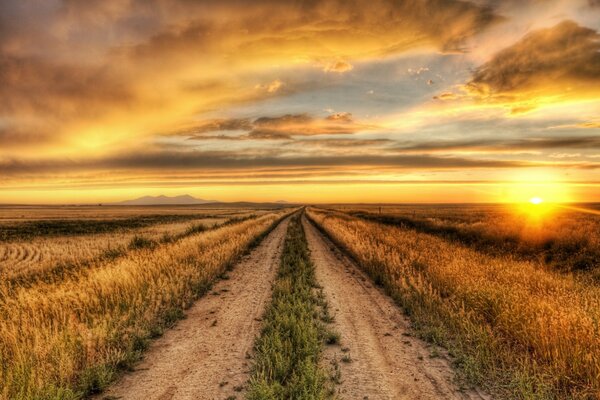 Belo pôr do sol em um grande campo