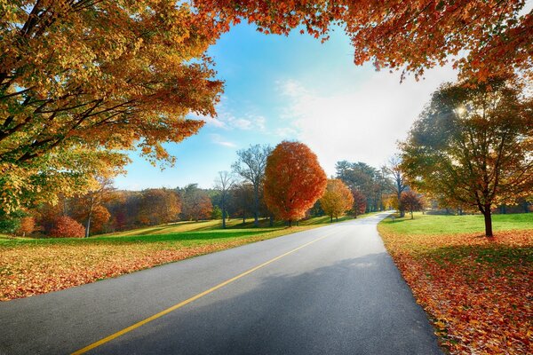 Der warme goldene Herbst hat noch nicht den ganzen Raum erobert