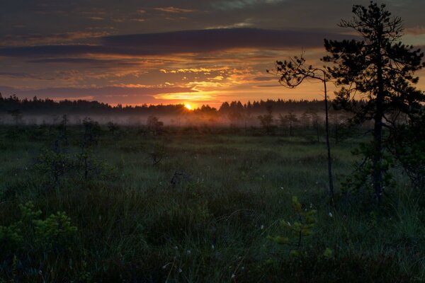 Incredible sunset in a foggy field